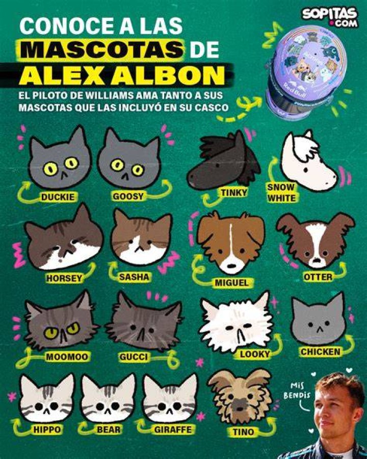 Alex Albon Pets