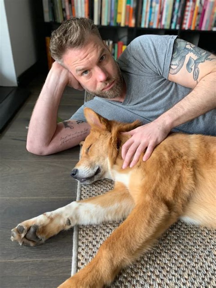 Anthony Jeselnik Pets
