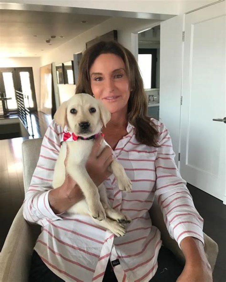 Caitlyn Jenner Pets