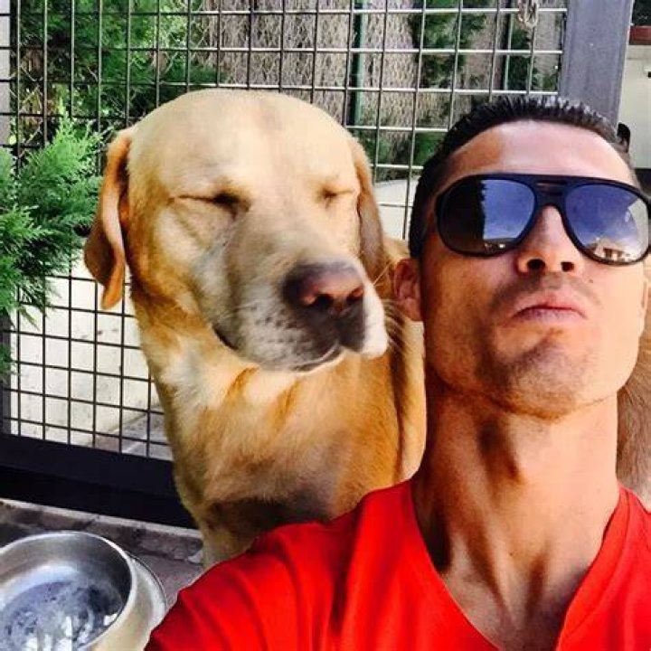 Cristiano Ronaldo Pets