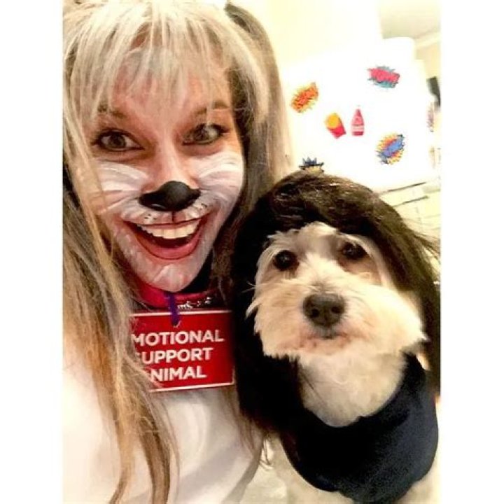Dan Schneider Pets