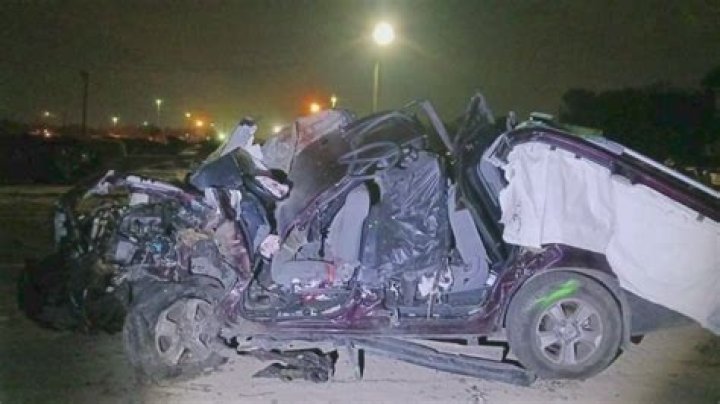 emu stops drunk driver crash