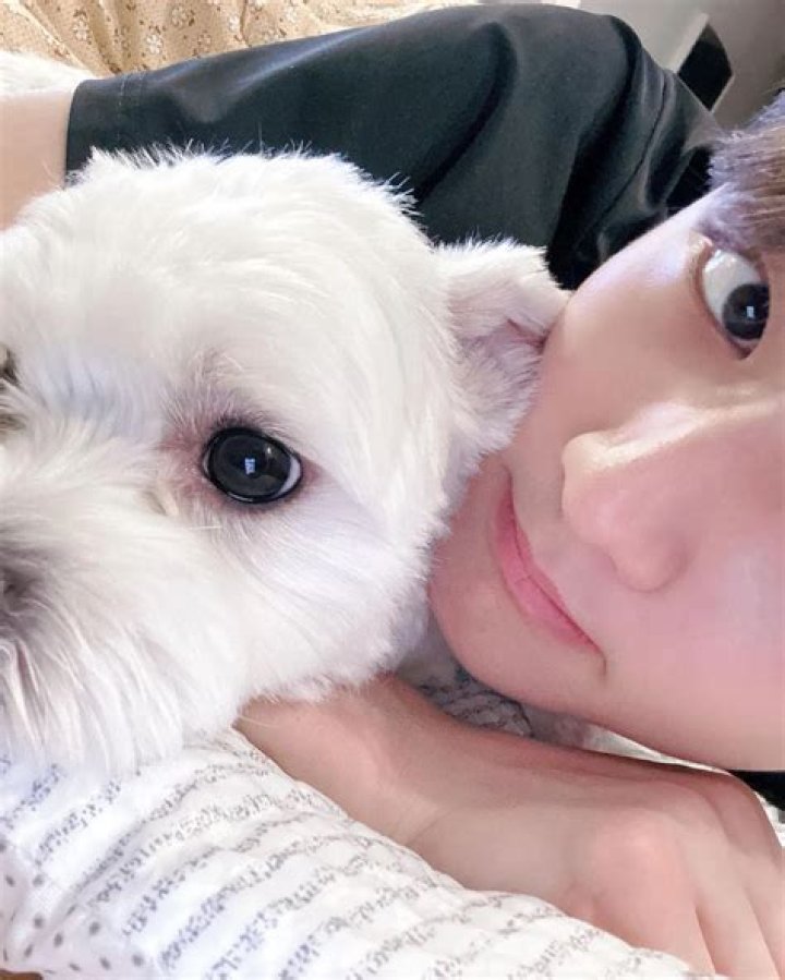 Jungwon Pets