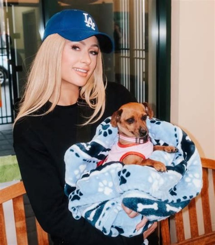 Paris Hilton Pets