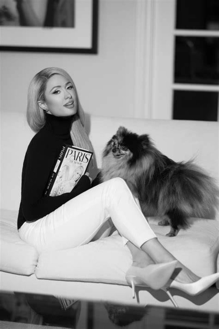 Paris Hilton posing with her pet dogs