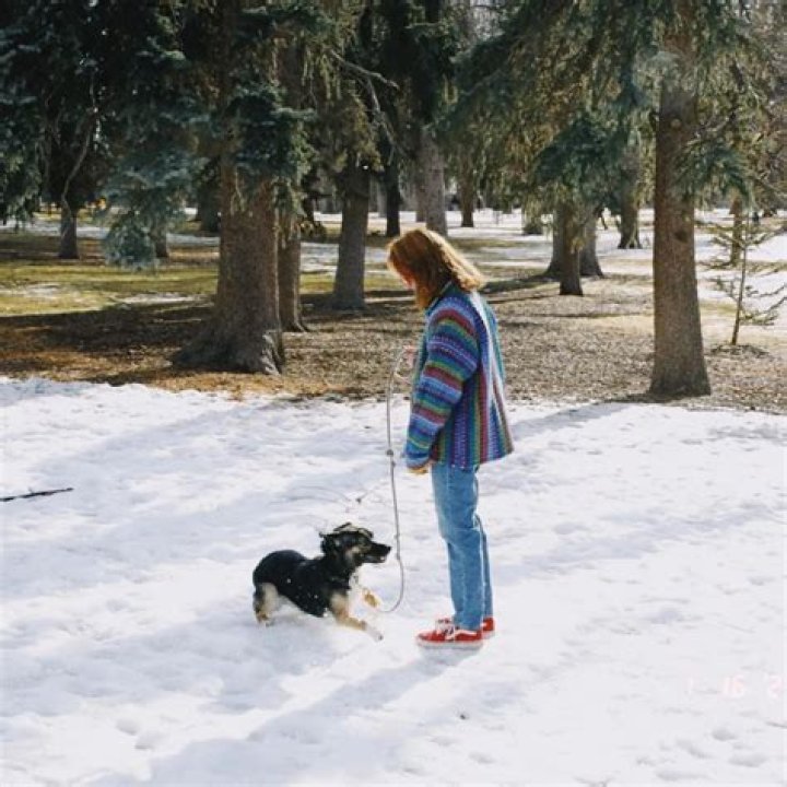Piper Curda Pets