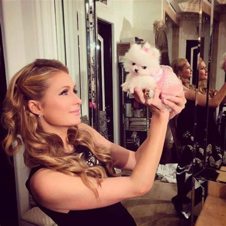 Princess Paris Jr. Instagram