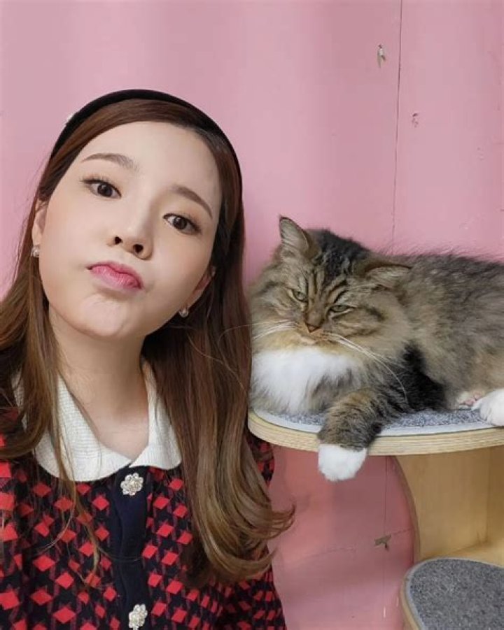 Sunny (Soonkyu Lee) Pets